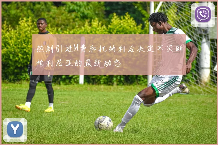 热刺引进M费和托纳利后决定不买断帕利尼亚的最新动态